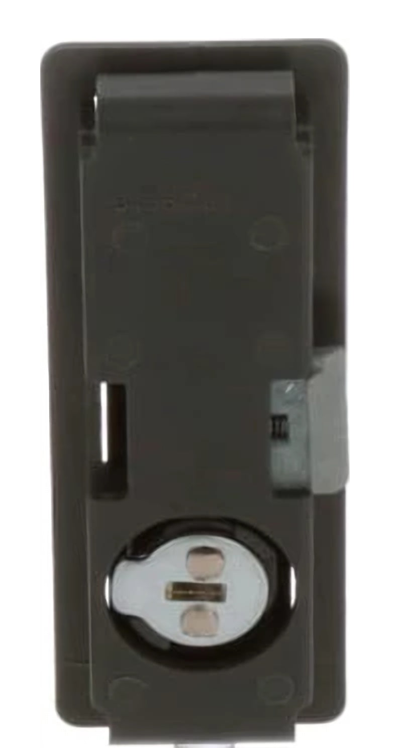 Back view